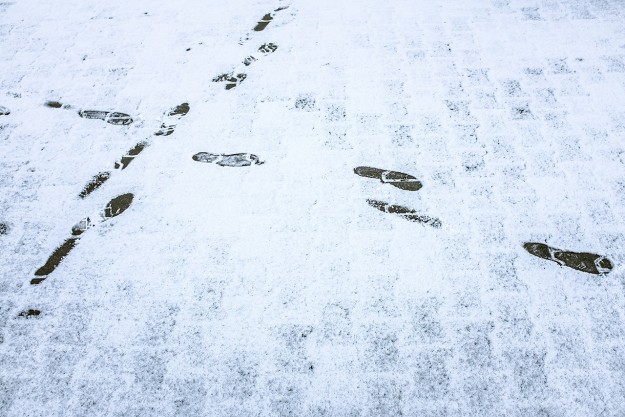 śnieg; snow; odciski stóp; footprints