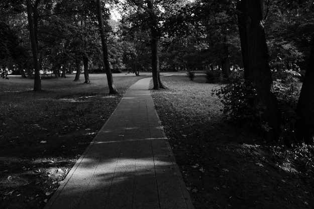 Gdańsk, Jelitkowo, drzewa, trees, światło, light