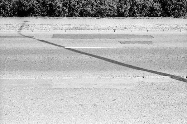 Cień, shadow, ulica, street, krzak, bush