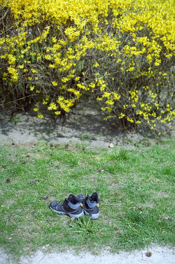 krzak; bush; buty; shoes; trawa; grass