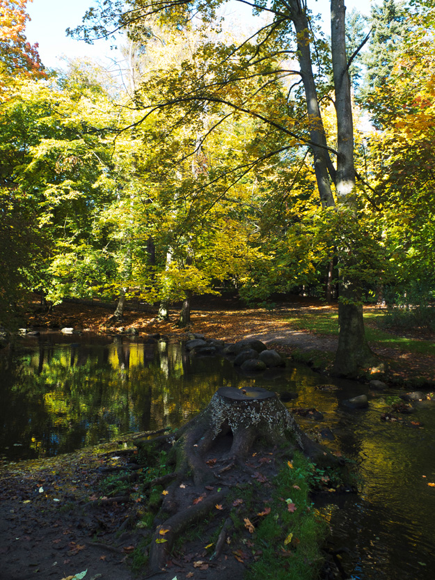 Park; Gdańsk; Oliwa; Jesień; Autumn;